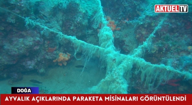 Ayvalık açıklarında paraketa misinaları görüntülendi