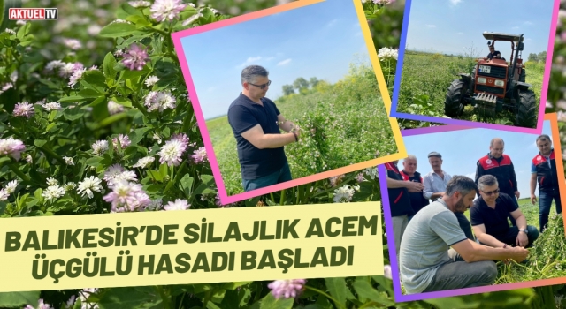 Balıkesir’de Silajlık Acem Üçgülü Hasadı Başladı