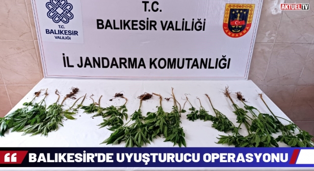 Balıkesir'de uyuşturucu operasyonu