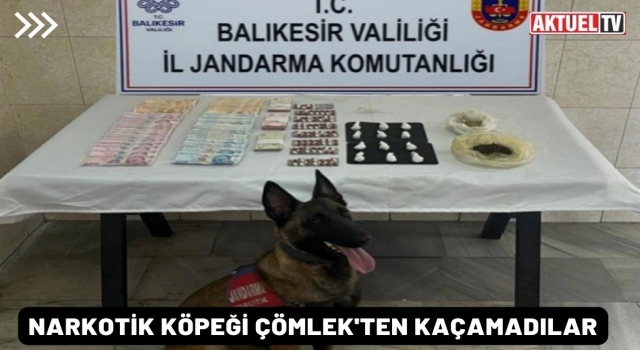 Narkotik köpeği Çömlek'ten kaçamadılar