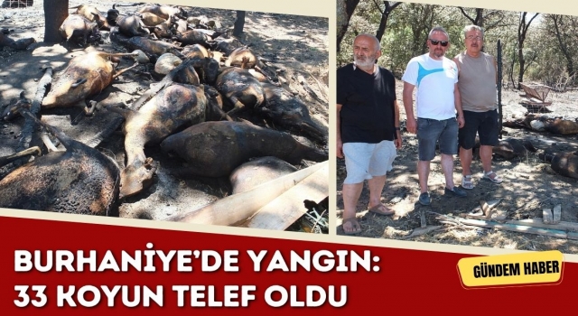 Burhaniye’de Yangın: 33 Koyun Telef Oldu