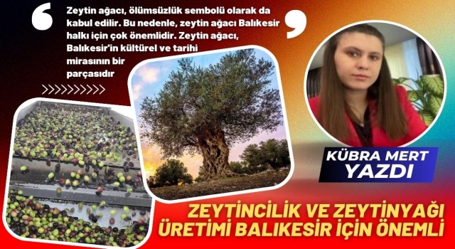 Zeytincilik ve Zeytinyağı Üretimi Balıkesir İçin Önemli