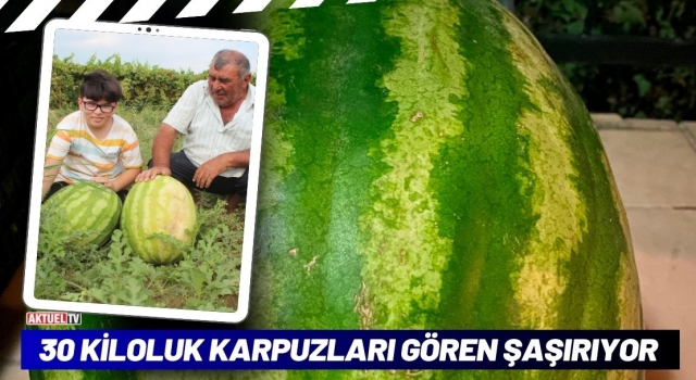 30 Kiloluk Karpuzları Gören Şaşırıyor