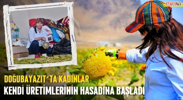 Doğubayazıt’ta Kadınlar Kendi Üretimlerinin Hasadına Başladı