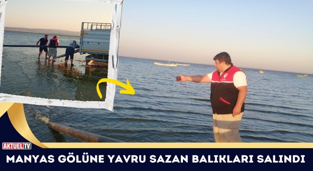 Manyas Gölüne Yavru Sazan Balıkları Salındı