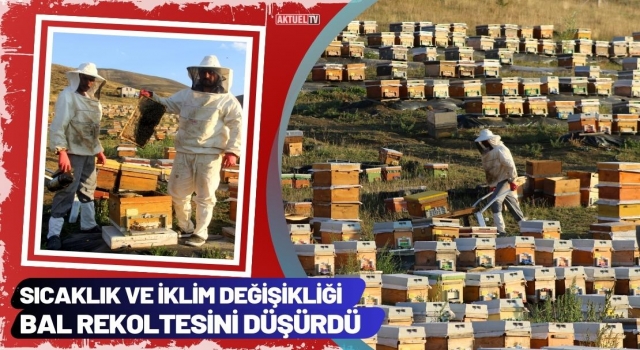 Sıcaklık ve İklim Değişikliği Bal Rekoltesini Düşürdü