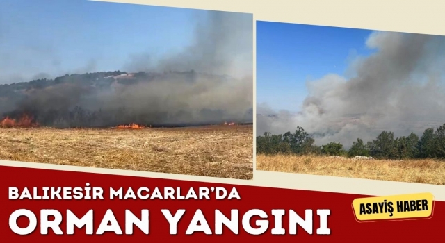 Balıkesir Macarlar'da Arazi Yangını