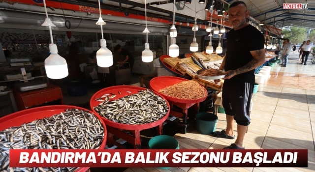 Bandırma’da Balık Sezonu Başladı