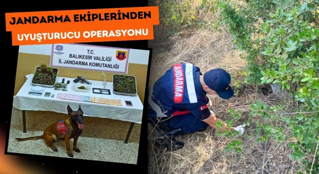 Jandarma Ekiplerinden Uyuşturucu Operasyonu