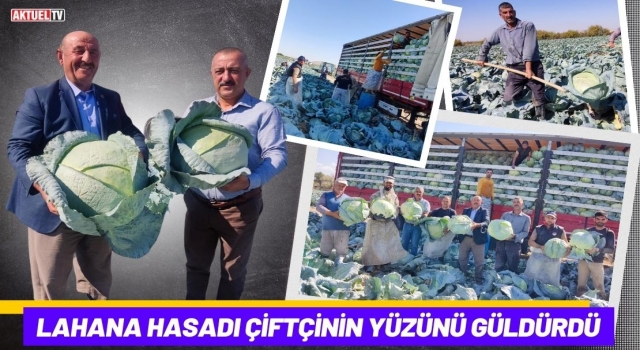 Lahana Hasadı Çiftçinin Yüzünü Güldürdü