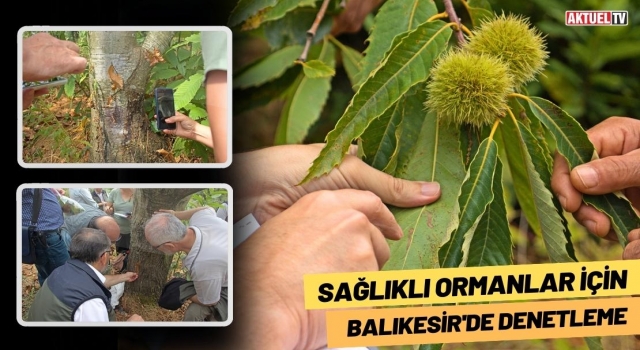 Sağlıklı Ormanlar İçin Balıkesir'de Denetleme