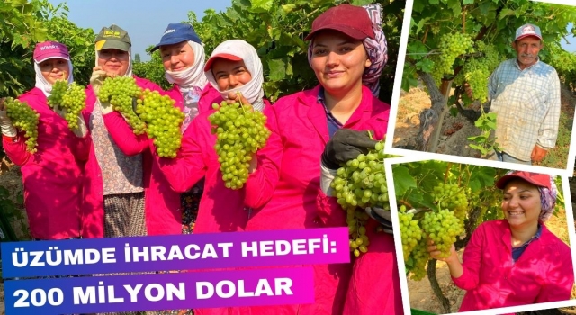 Üzümde İhracat Hedefi: 200 milyon Dolar