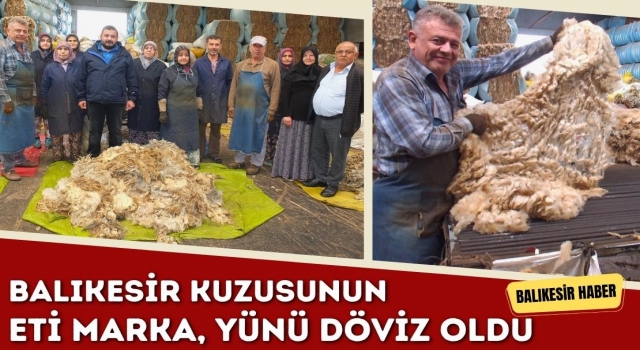 Balıkesir Kuzusunun Eti Marka, Yünü Döviz Oldu