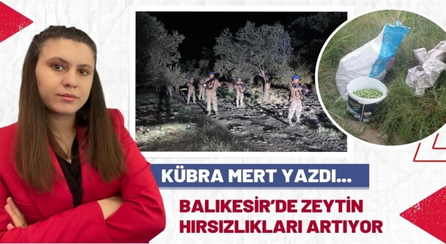 Balıkesir’de Zeytin Hırsızlığı Giderek Artıyor