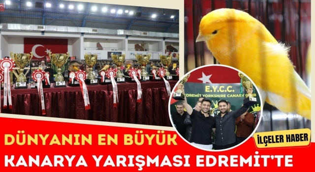 Dünyanın En Büyük Kanarya Yarışması Edremit’te