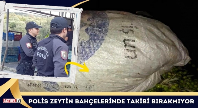 Polis Zeytin Bahçelerinde Takibi Bırakmıyor