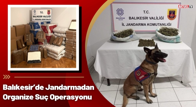 Balıkesir’de Jandarmadan Organize Suç Operasyonu