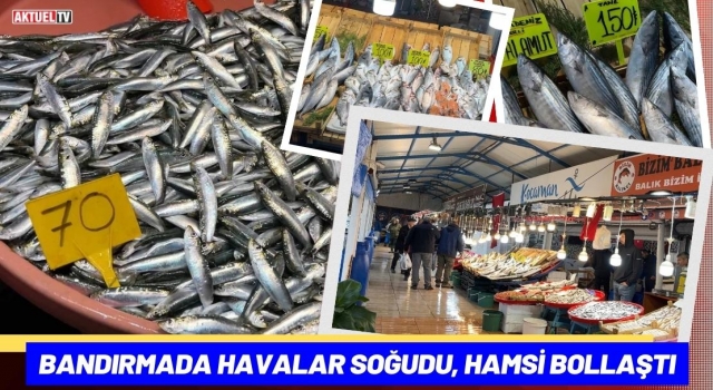 Bandırmada Havalar Soğudu, Hamsi Bollaştı