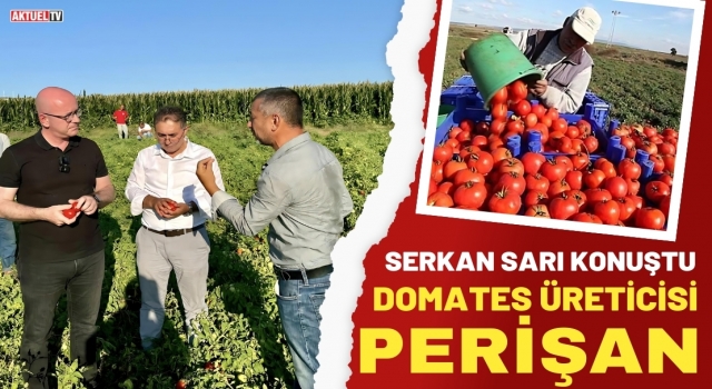 Serkan Sarı 'Domates Üreticisi Perişan'