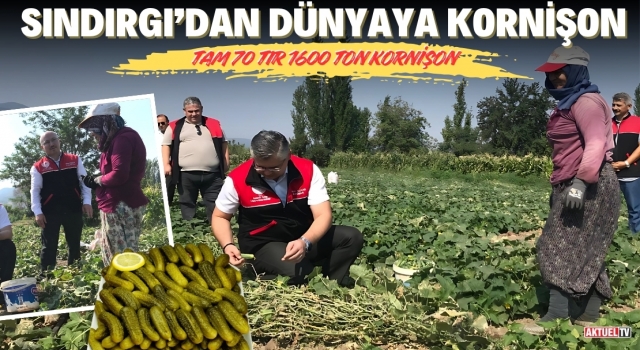 Sındırgı’dan Avrupa’ya Kornişon İhracatı Yapılıyor