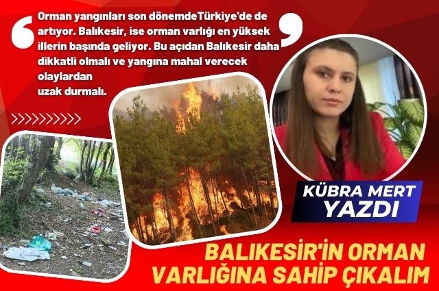 Balıkesir’in Orman Varlığına Sahip Çıkalım