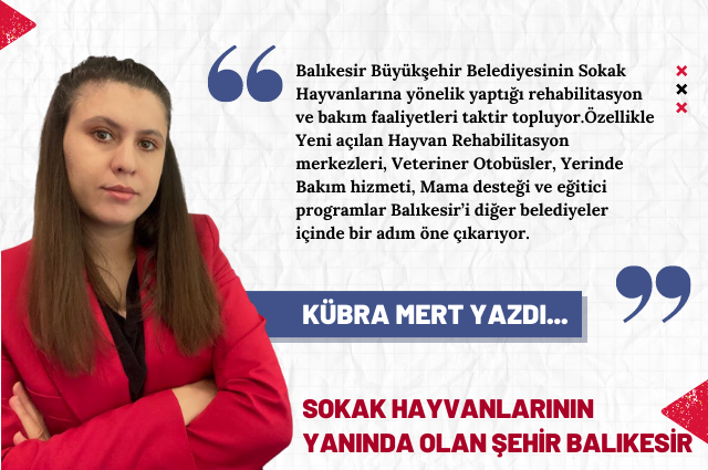 Sokak Hayvanlarının Yanında Olan Şehir Balıkesir