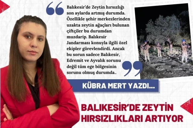 Balıkesir’de Zeytin Hırsızlığı Giderek Artıyor