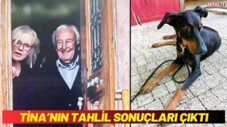 Tina’nın Tahlil Sonuçları Çıktı