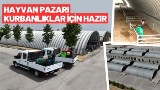 Hayvan Pazarı, kurbanlıklar için hazırlandı