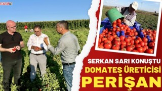 Serkan Sarı 'Domates Üreticisi Perişan'