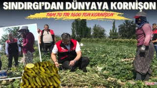 Sındırgı’dan Avrupa’ya Kornişon İhracatı Yapılıyor