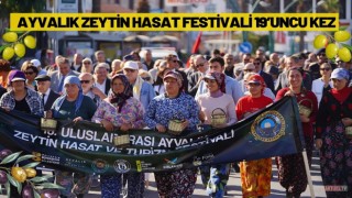 Ayvalık Zeytin Hasat Festivali 19’uncu kez düzenleniyor